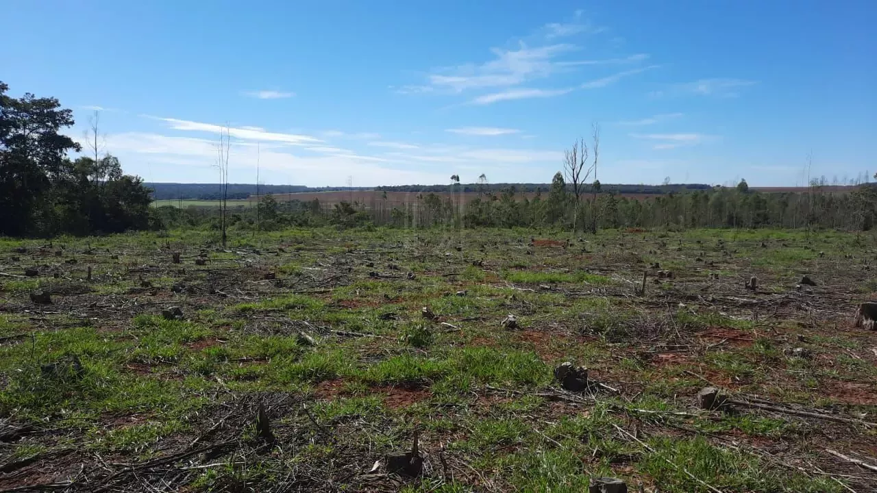 Comprar Fazenda